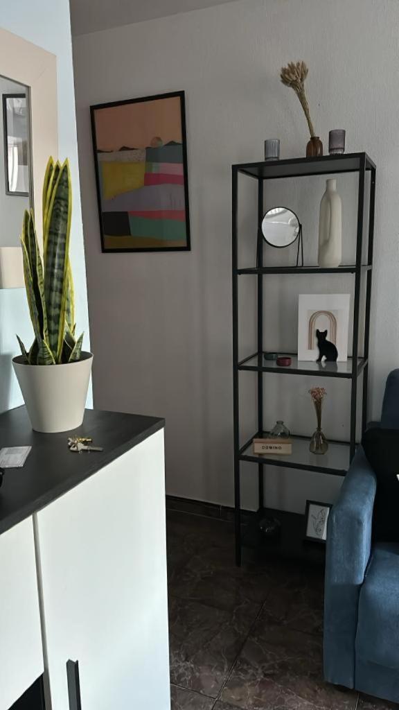 Playa De Los Naufragos Cozy Apartment With Pool تورّيفيِخا المظهر الخارجي الصورة
